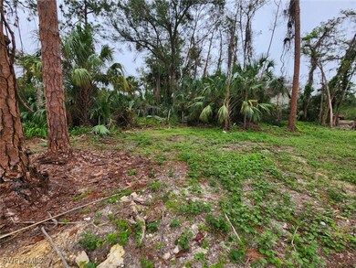 2004 Canton Ave, Alva, FL 33920 - photo 3