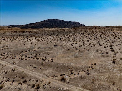 1142 Fran Lou Ln, Joshua Tree, CA 92252 - photo 6