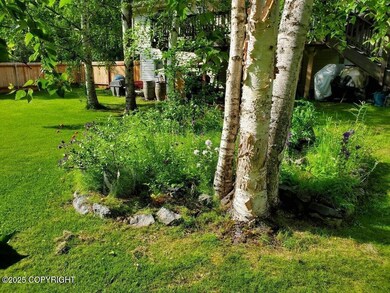Back Yard 03