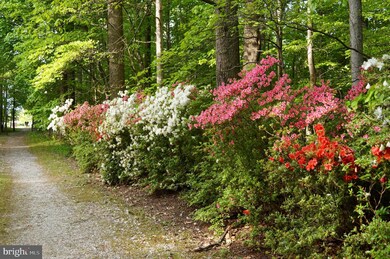 3227A Offutt Rd, Randallstown, MD 21133 - photo 5