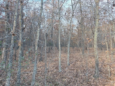 County Road 9100, West Plains, MO 65775 - photo 7