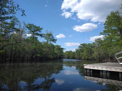 856 Tilly Lake Rd unit Lot 45, Conway, SC 29526 - photo 3