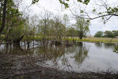 Pond 3