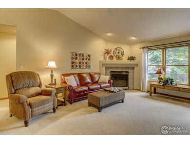 Living Room Fireplace