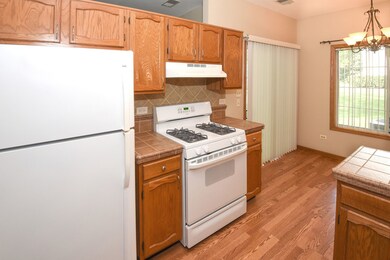 1524 Commodore Ln unit 3, Schaumburg, IL 60193 - photo 6