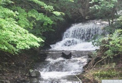 0 Water Street Rd, Livingston, NY 12534 - photo 2