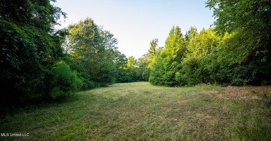 0 Holly Grove Meeks Rd unit 4131879, Cruger, MS 38924 - photo 5