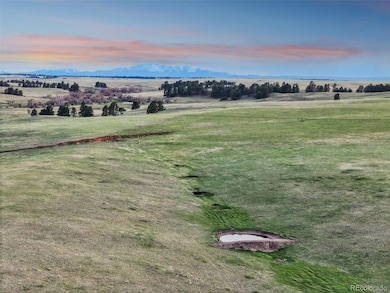 0 County Road 102 unit 25494615, Elbert, CO 80106 - photo 6