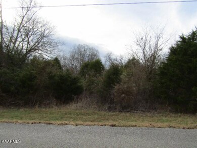 2.12ac Hidden River Ave, Sparta, TN 38583 - photo 5