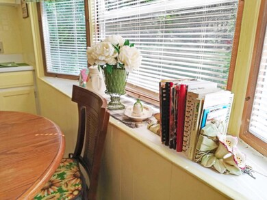 735 W Mohawk Trail, White Cloud, MI 49349 - photo 7