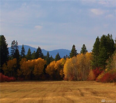 291 Rinky Dink Ln, Ronald, WA 98922 - photo 4