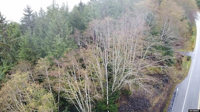 16000 BLK N Tongass Hwy unit Tract F 16000 BLK N, Ketchikan, AK 99901 - photo 4