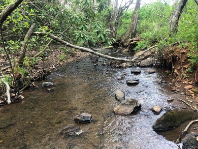 Branch at boundary