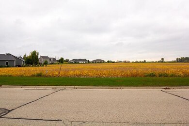 Lot view