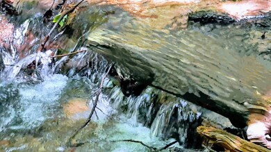 Woodland Waterfall
