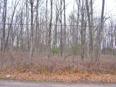 Lot 7 Woodlyn Acres Rd, Berlin Township, PA 18428 - photo 2