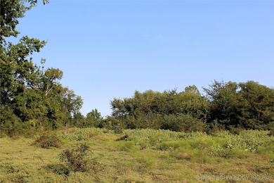 0 Highway 70 E, Bennington, OK 74723 - photo 2