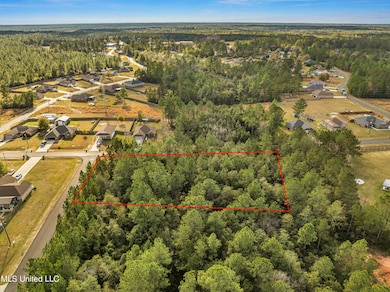 Lot 207