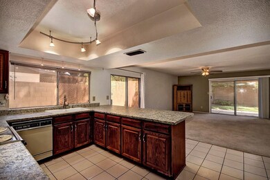New Counters & Sink