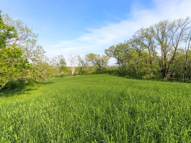 IMG_0507