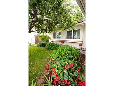 251 Chapalita Dr, Encinitas, CA 92024 - photo 3