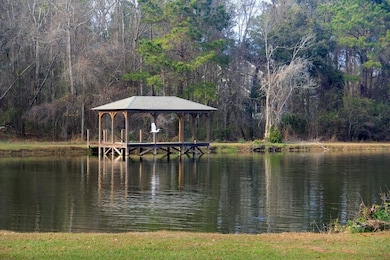 16 Riverwind Trail, Meigs, GA 31765 - photo 3