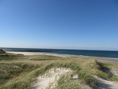 Beach from dune