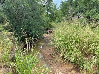 TBD County Road 105, Brownwood, TX 76801 - photo 7