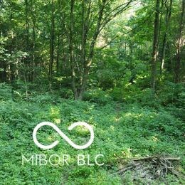 0 E County Road 800 N, Milan, IN 47031 - photo 7