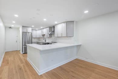 405 N Wabash Ave unit 207, Chicago, IL 60611 - photo 4