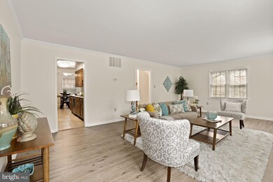 6054 Morgan Ct, Alexandria, VA 22312 - photo 5