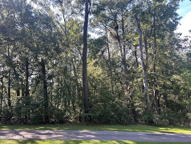 96 Barnaby Bluff, Seabrook, SC 29940 - photo 2