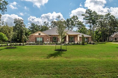 30810 Spring Lake Blvd, Tomball, TX 77375 - photo 5