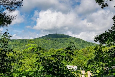 397 New Leicester Hwy, Asheville, NC 28806 - photo 3