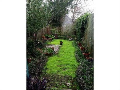 Backyard. Oversized lot with lush greenery