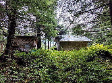 Summer Ext cabin & shed