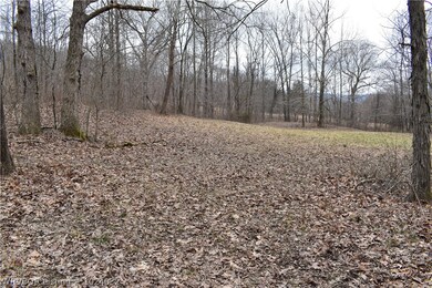 15901 S Highway 71, Winslow, AR 72959 - photo 4