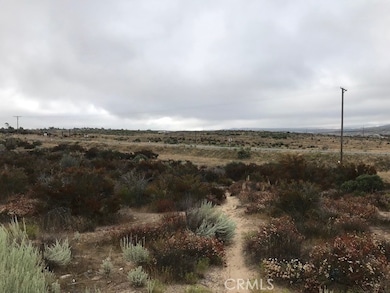 0 Cary Rd unit SW23170271, Anza, CA - photo 2