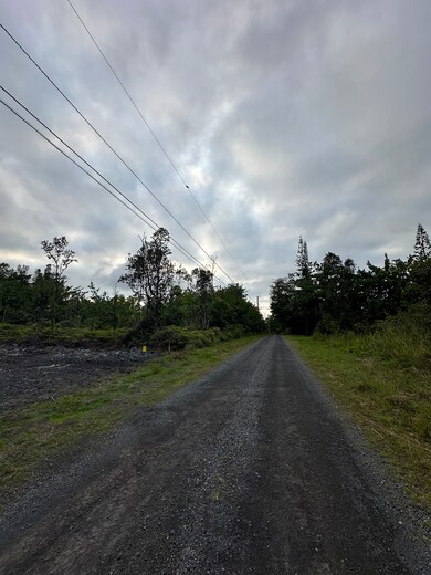 15-1022 Amau Rd, Hilo, HI 96720 - photo 5