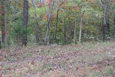 0 Dily Cir unit 1163213, Bella Vista, AR 72715 - photo 3