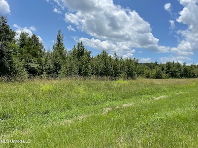 0 Canton Pkwy unit 4083990, Canton, MS 39046 - photo 4