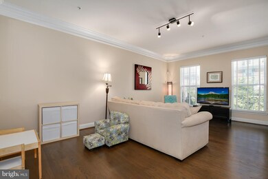 9828 Darcy Forest Dr, Silver Spring, MD 20910 - photo 3