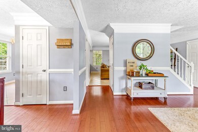 1194 Hampton Rd, Annapolis, MD 21409 - photo 5