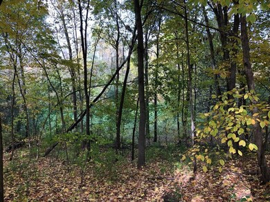 Nice wooded area of the lot as you face the backya
