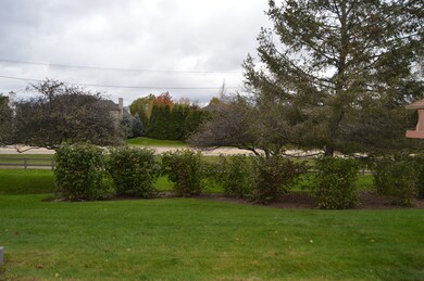 2042 Peach Tree Ln unit 4175, Algonquin, IL 60102 - photo 6