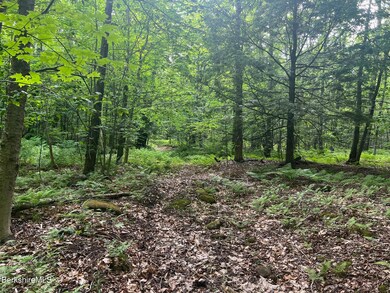 0 Johnny Cake Hill Rd unit 246420, Middlefield, MA 01243 - photo 4