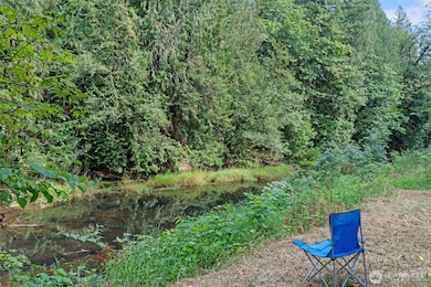 115 Maschke Rd, Vader, WA 98593 - photo 4