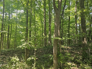 0 Clinton Rd, Weedsport, NY 13166 - photo 7