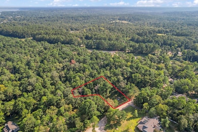 TBD Lake Oaks Cir unit 79-80, Coldspring, TX 77331 - photo 2