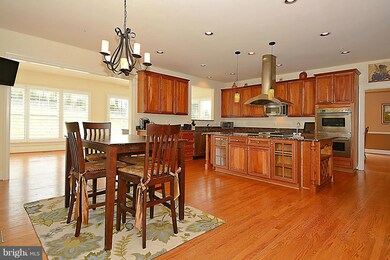 12006 Tregoning Place, Clarksburg, MD 20871 - photo 6